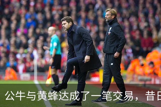 公牛与黄蜂达成了一笔交易，昔日森林狼乐透秀会在黄蜂获得机会？